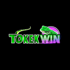 TOKEKWIN - Perang Pesawat Terbaik untuk Pecinta Game